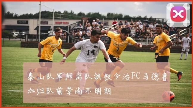 泰山队军师离队执教今治FC马德鲁加归队前景尚不明朗