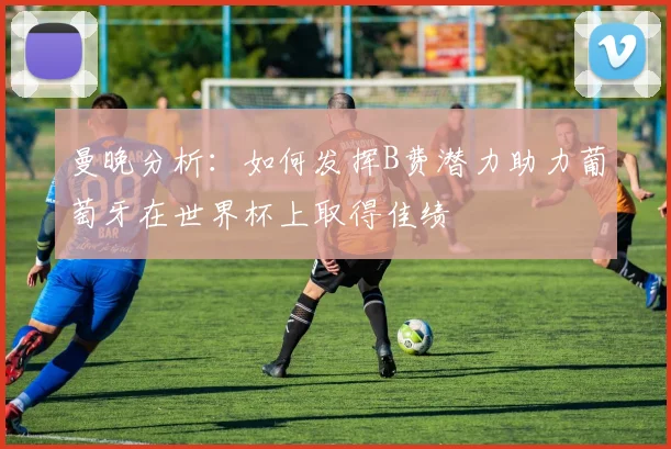 曼晚分析：如何发挥B费潜力助力葡萄牙在世界杯上取得佳绩
